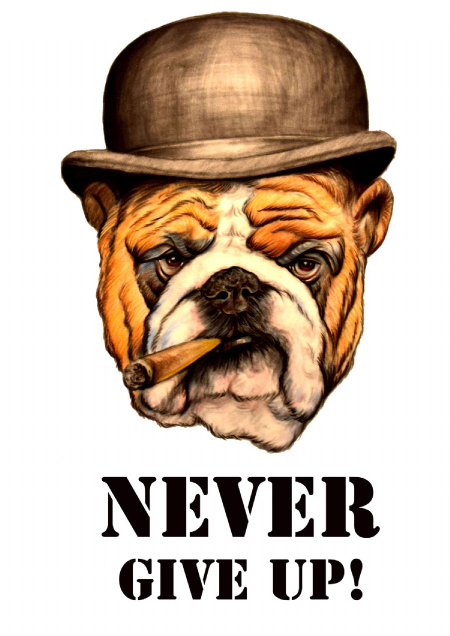Never give up
