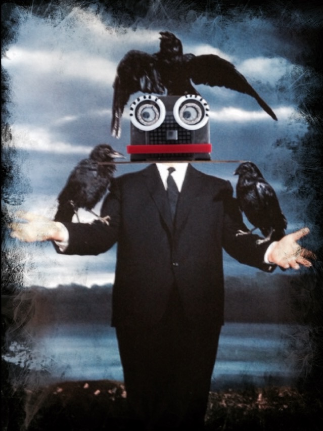 Black Birds