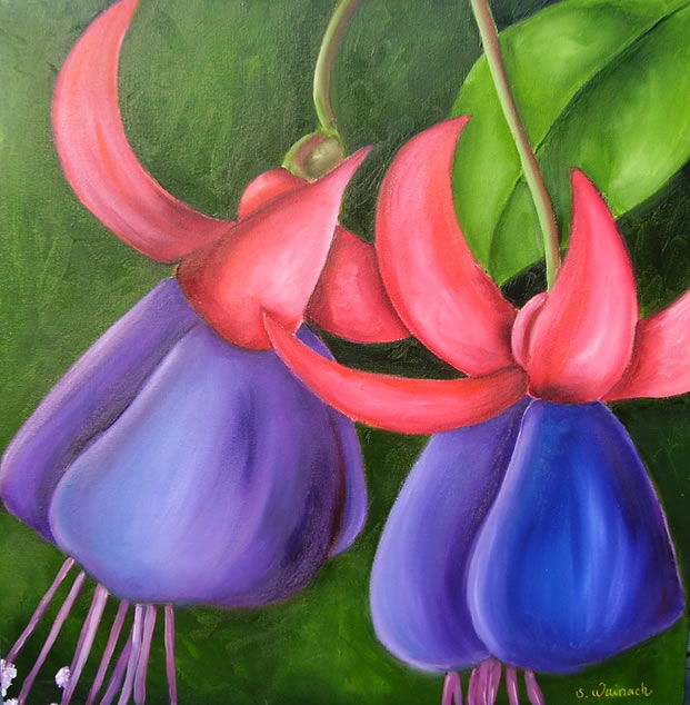 Fuchsia 1