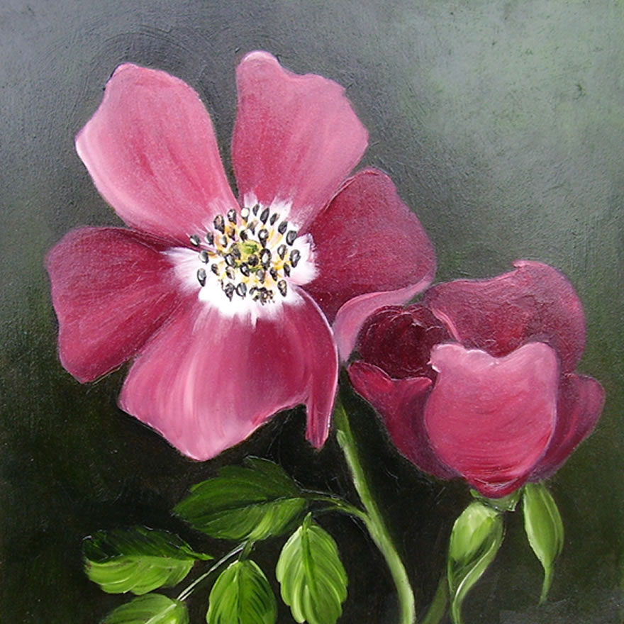 Rose