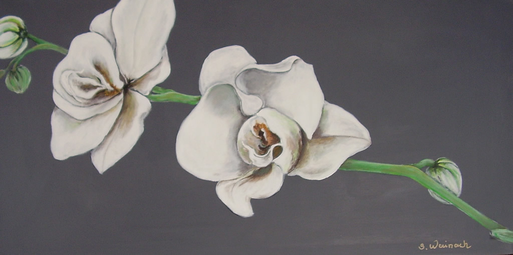 Orchide