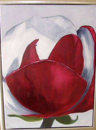 Magnolieblomst