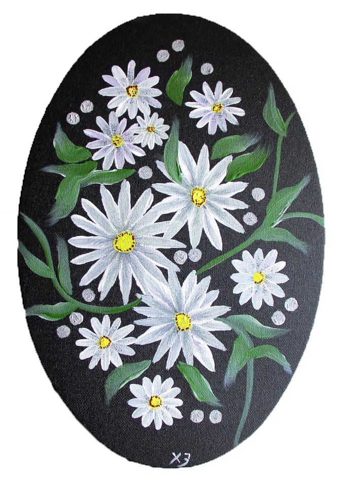 Daisy Flowers