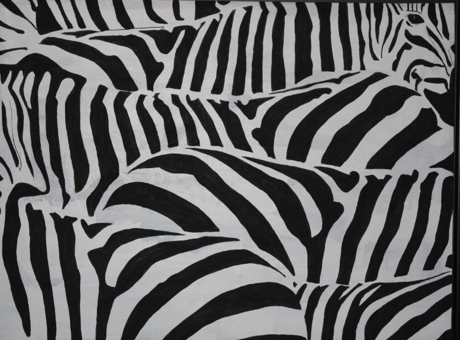 mine zebraer