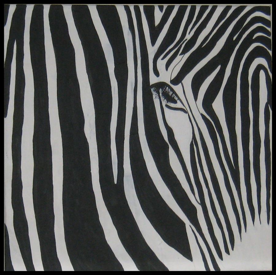 zebra