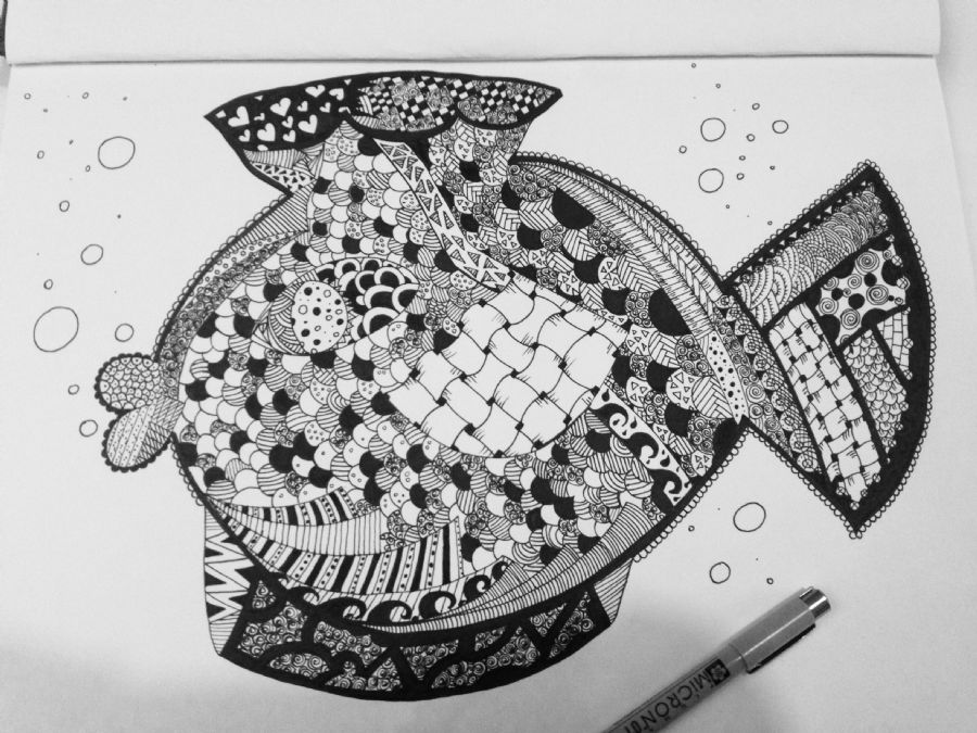 Fisk