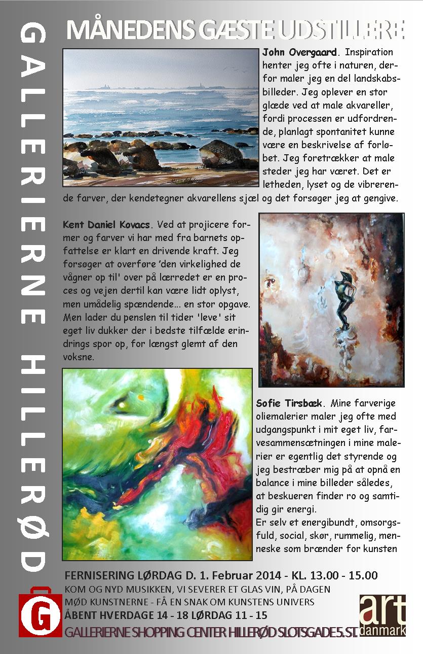 Månedens kunstner februar 2014