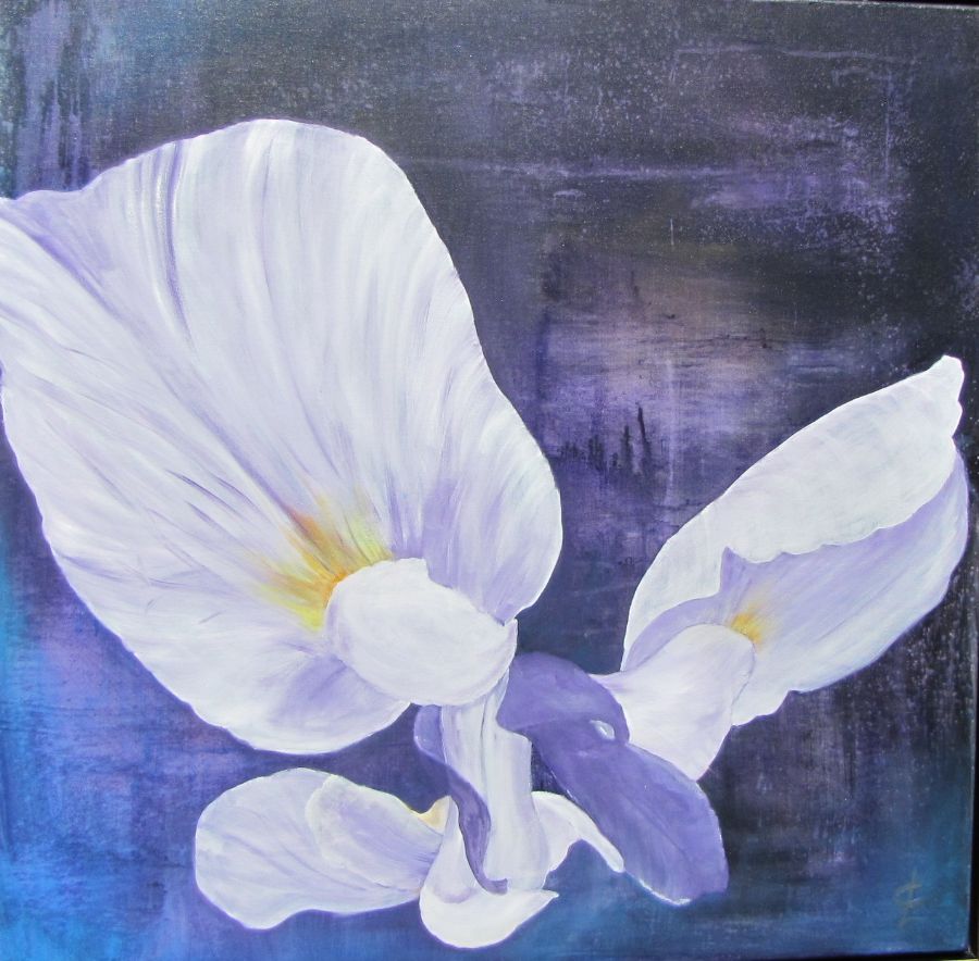 blue study