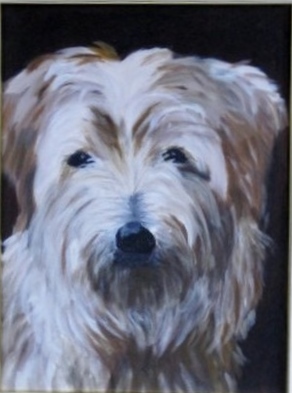 Nord Folk Terrier