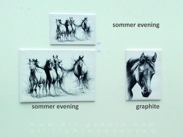 sommer evening graphite