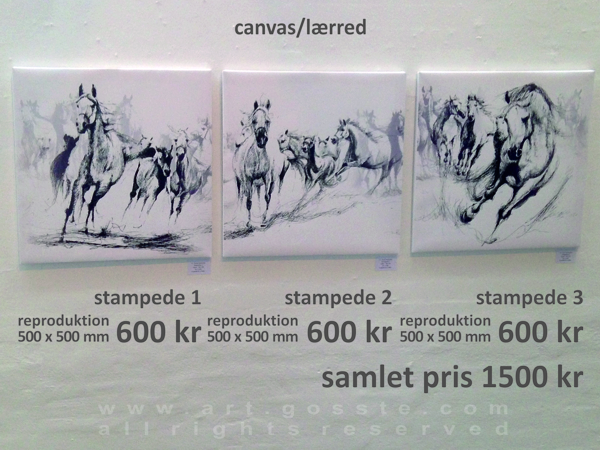stampede