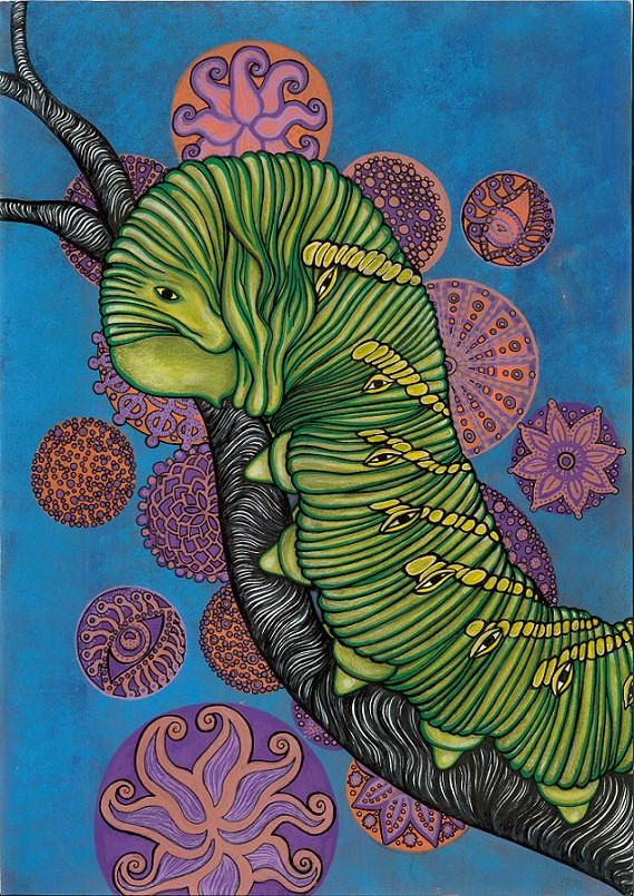 Discover the caterpillar