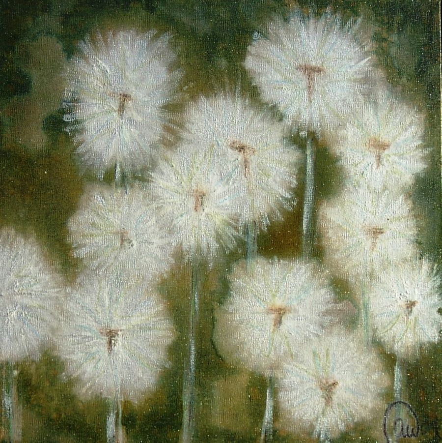 Pusteblumen