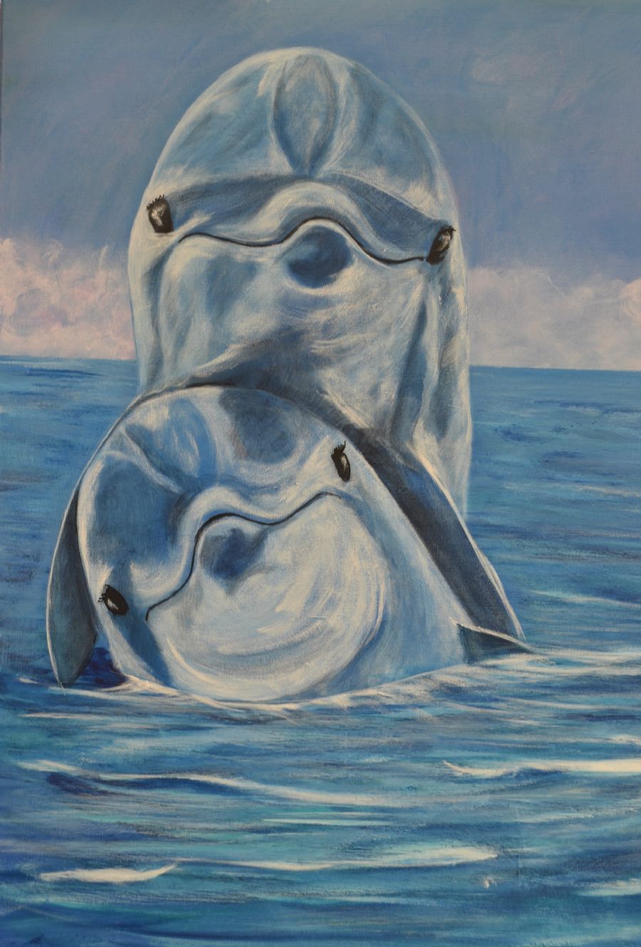 blue dolphins