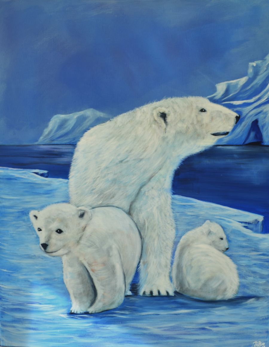 isbjørne 20