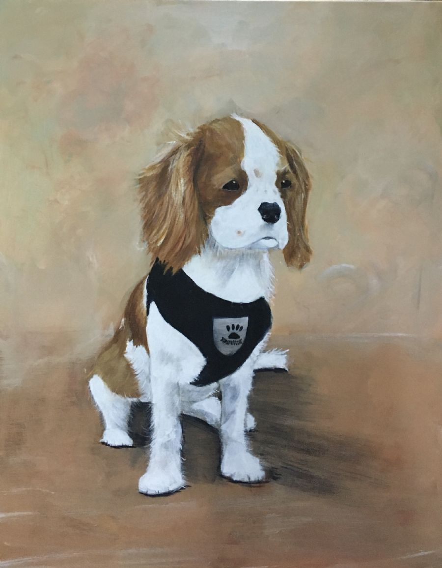 hunde portræt