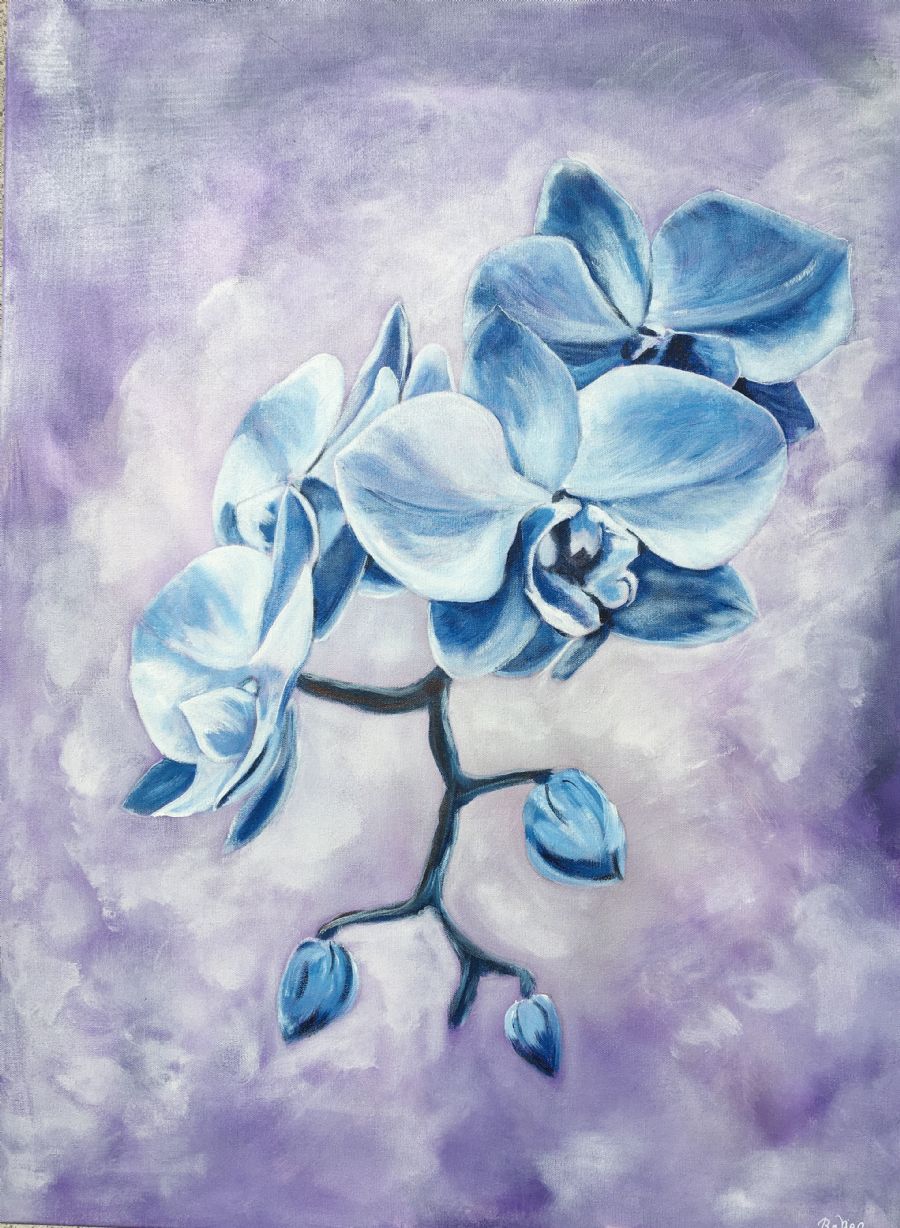 blå orchide (3)