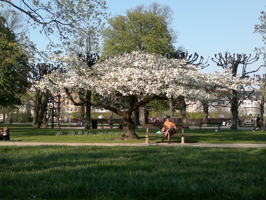 skønheden i naturen