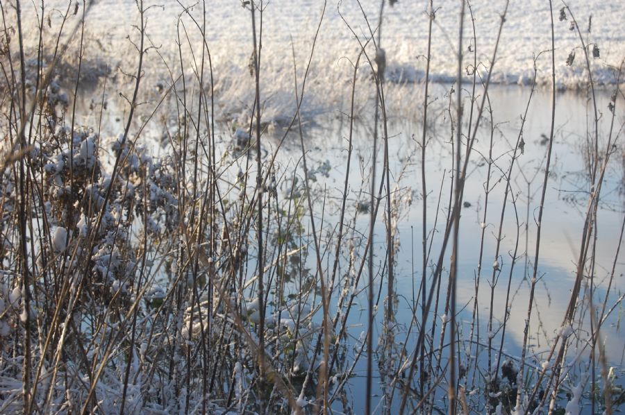 "Frostklar dag"
