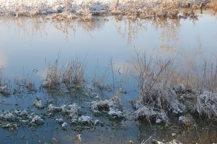 "Spejling i frost 2"