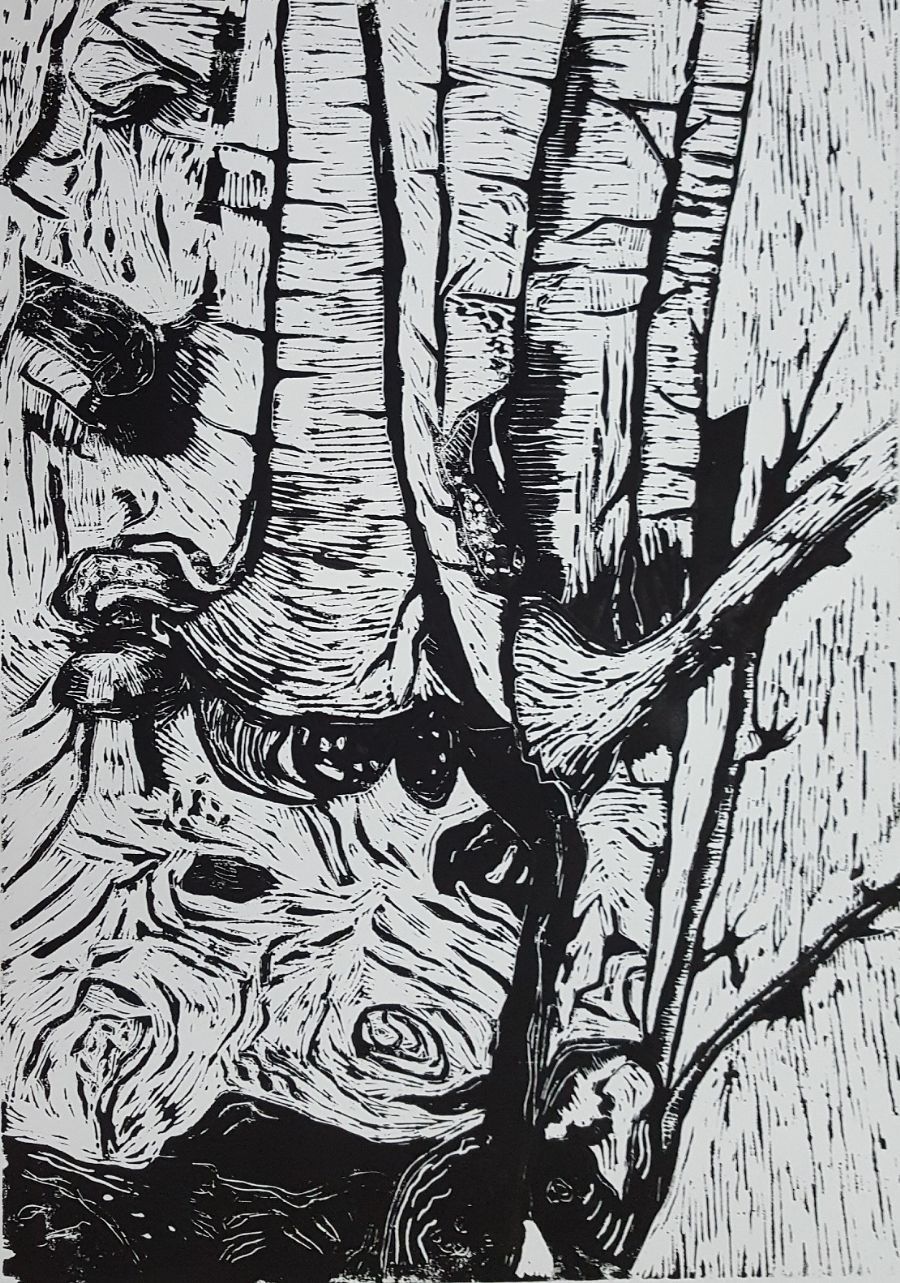"Naturens finurligheder II"