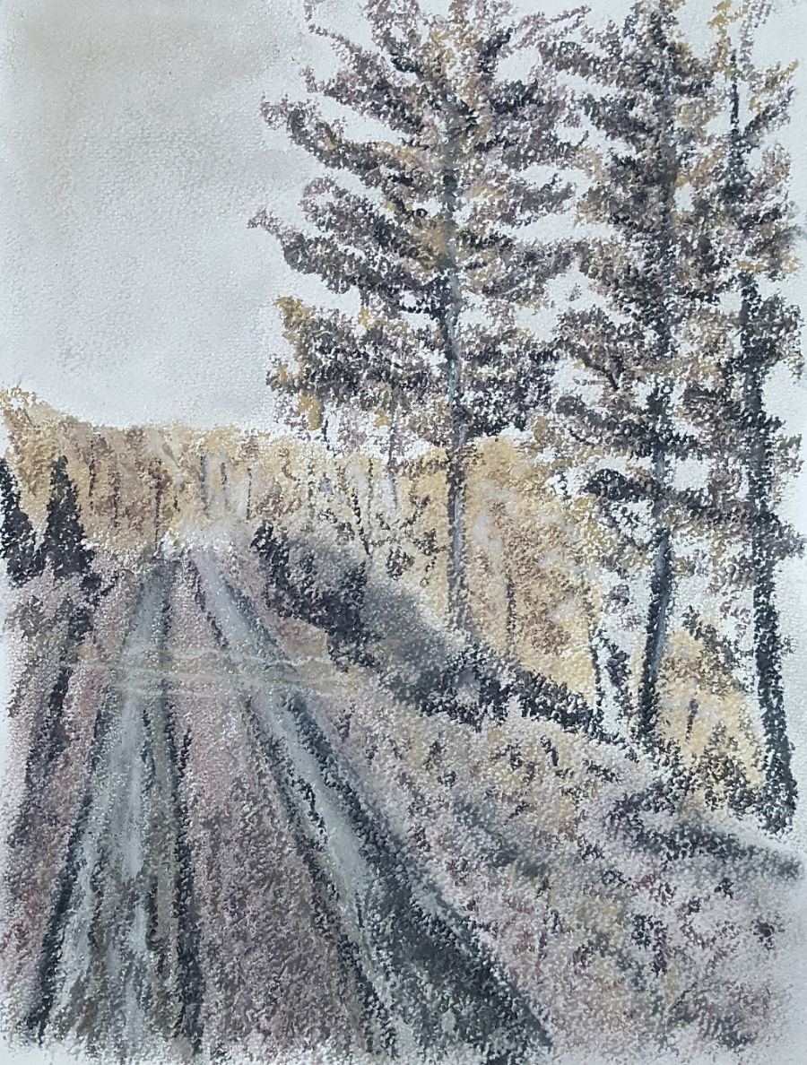 "En skovtur"