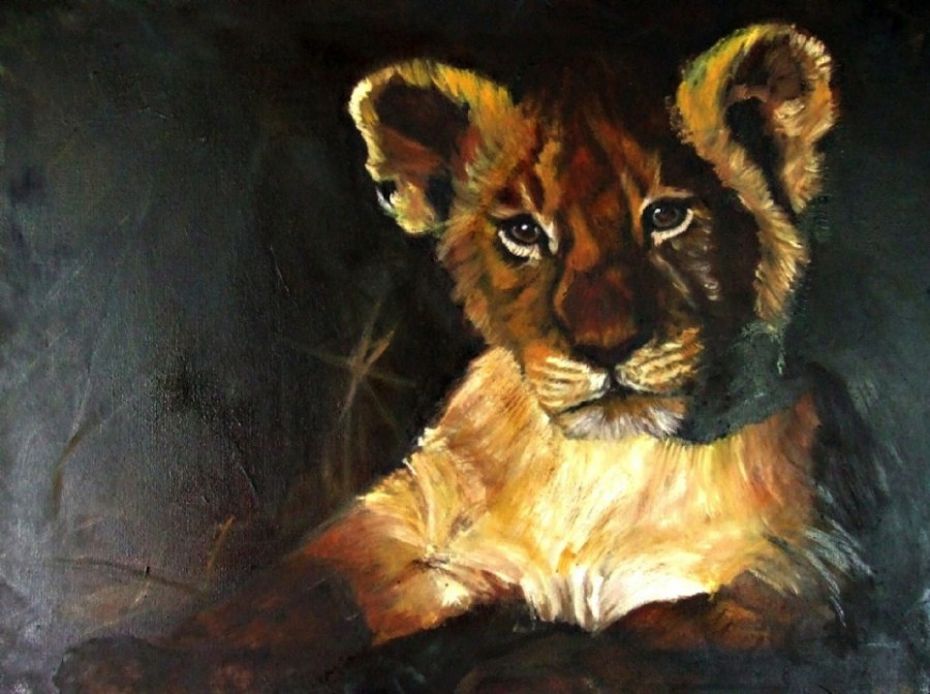 Lion Cub
