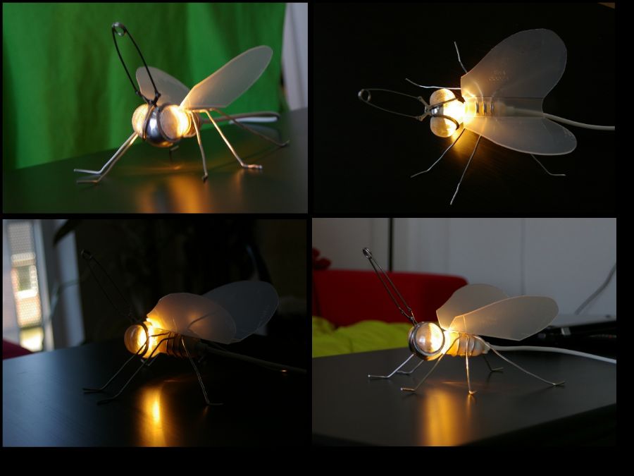 Insekt lampe