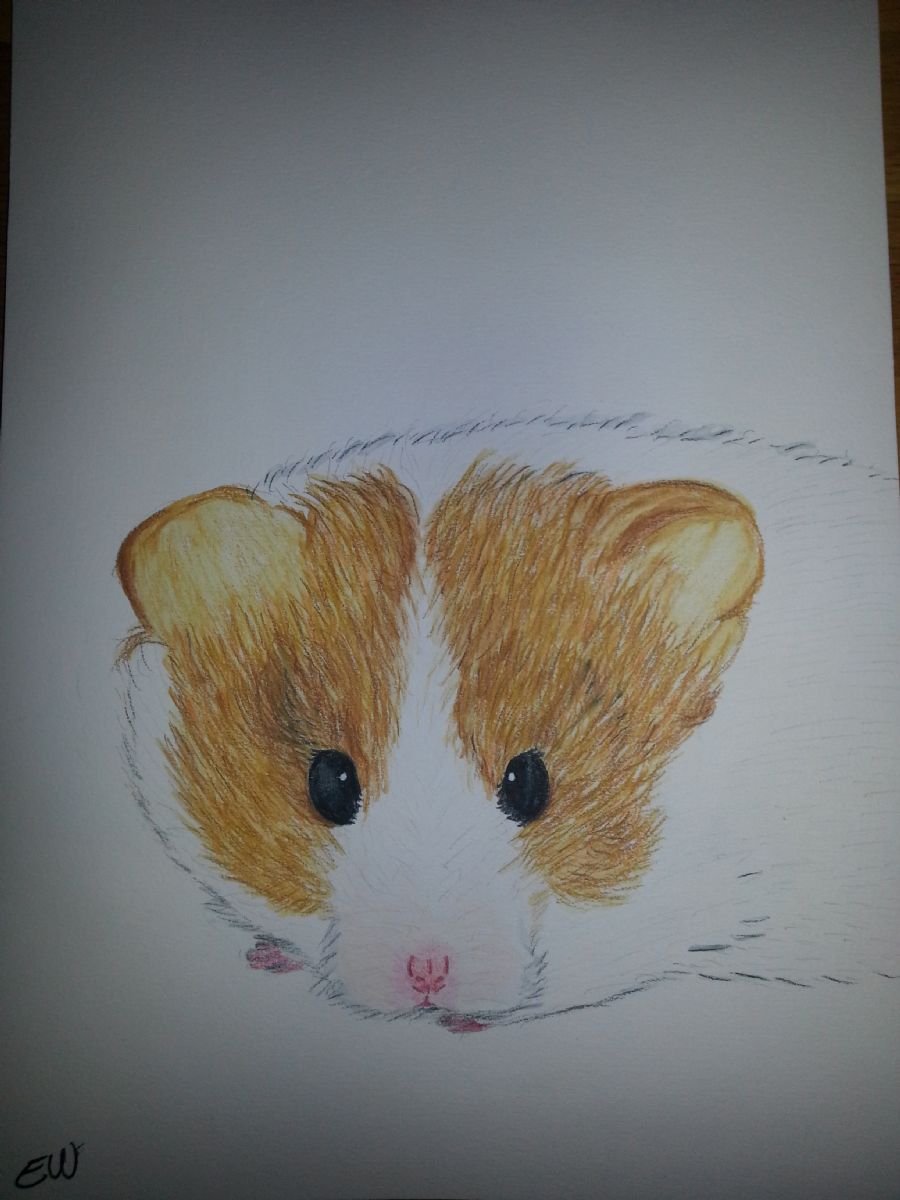 Albert