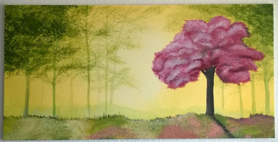 Color in the Forest