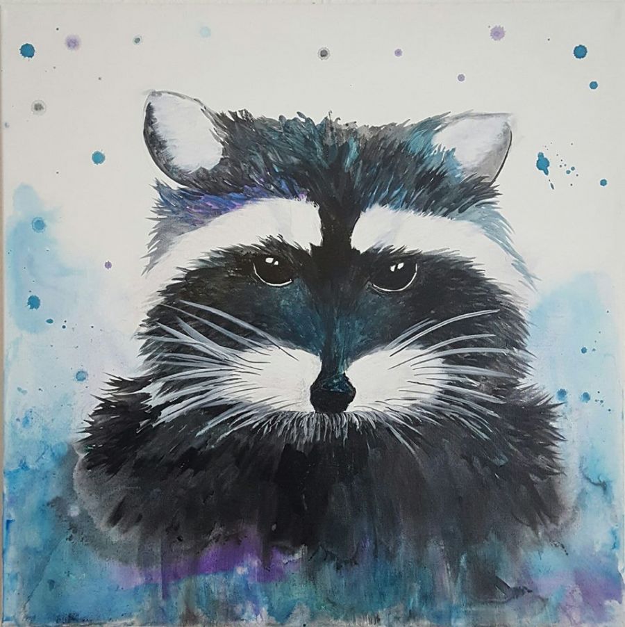 Racoon