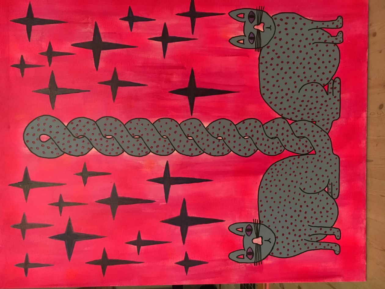 Stars and cats