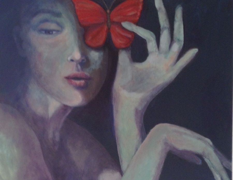 Fly butterfly fly
