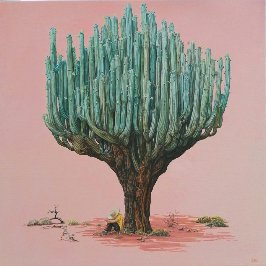 Siesta, Kaktus fra Mexico.
