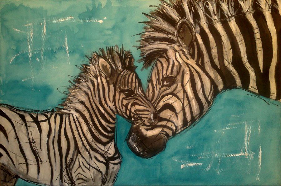 "zebra med unge"