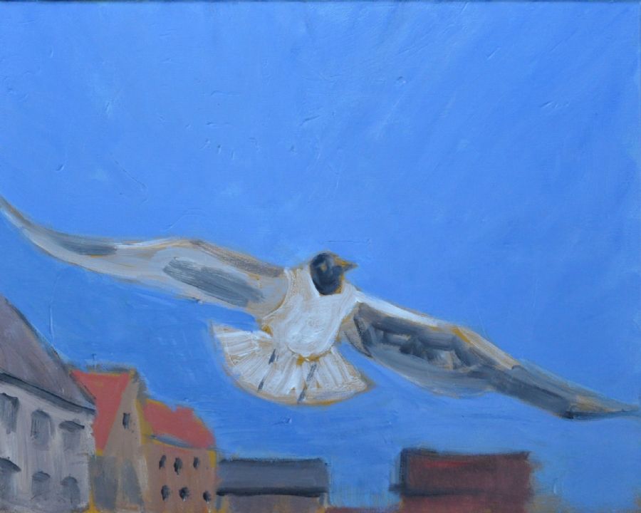 Fugl over byen