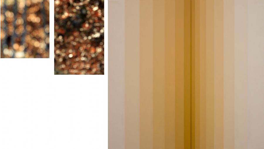 Beech Hedge Raw Umbra Burnt Umbra