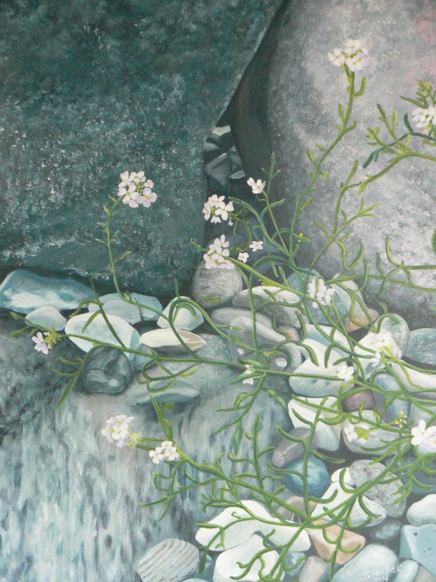 blomst fra stranden.