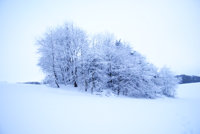 vinter 2010