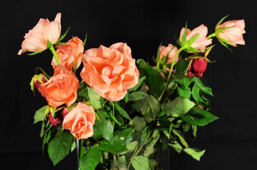 Blomst
