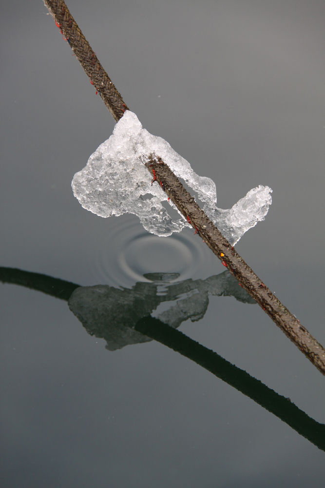 Ice and reflections