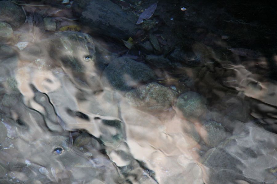 Eyes in the water