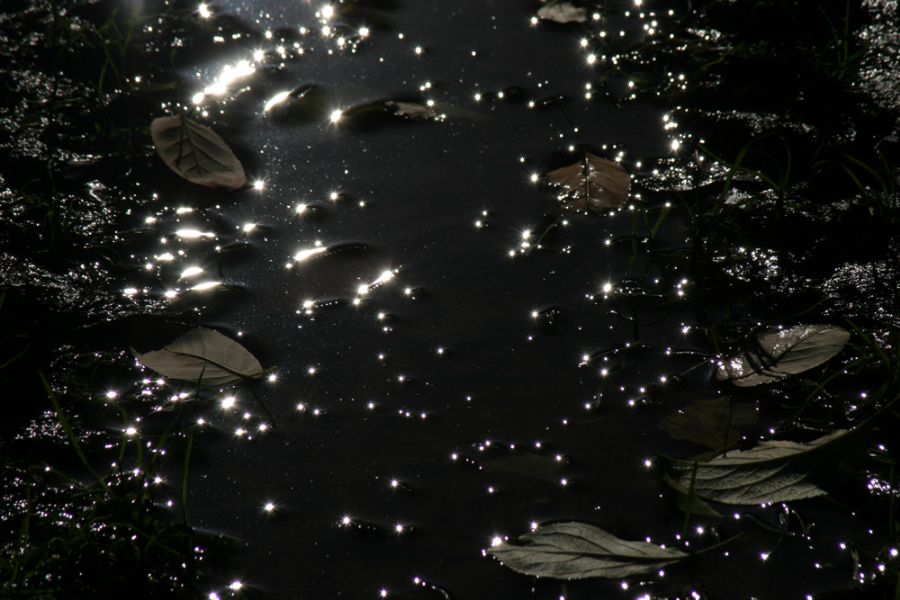 Dots of sunshine