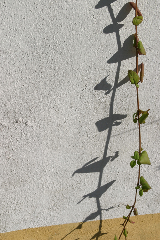 Shadows and patterns