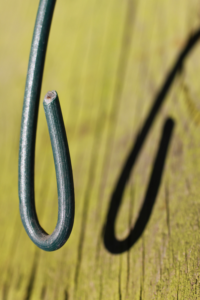 Shadows on a fence