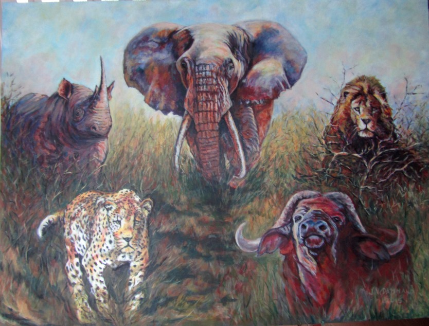 Safari