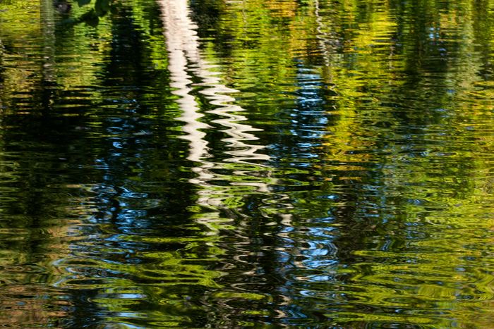 Efterår I Frederiksberg Have 01