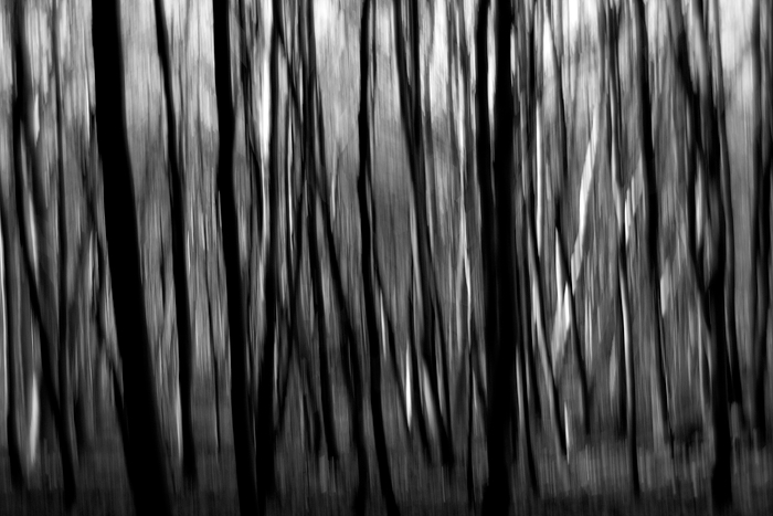 Impenetrable (01)