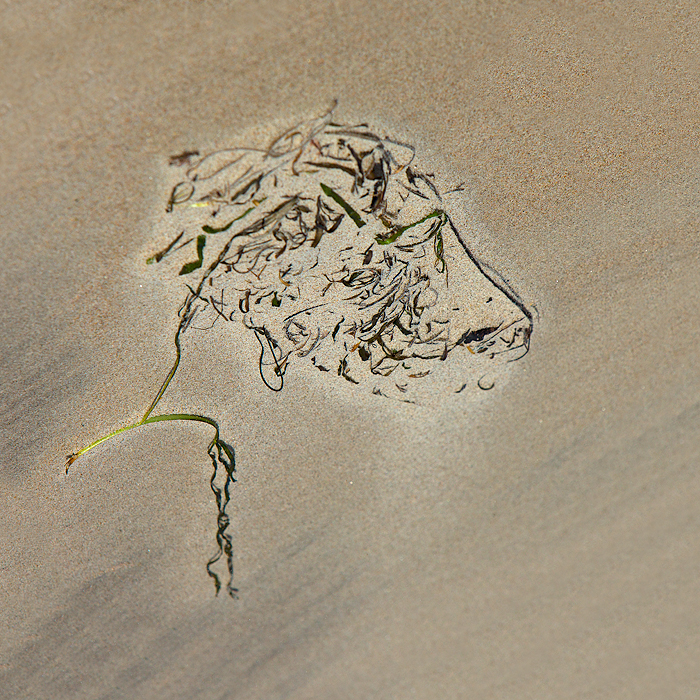 The Beach 01
