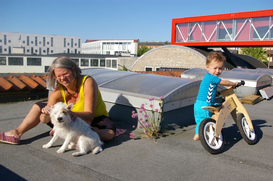 2014 Janne, Villads og Balder Wollfeld.
